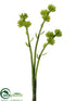 Silk Plants Direct Sedum Spray - Green - Pack of 24