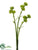 Sedum Spray - Green - Pack of 24