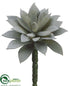 Silk Plants Direct Succulent - Gray Flocked - Pack of 24