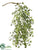 Sedum Hanging Bush - Green - Pack of 24