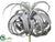 Tillandsia Pick - Green Gray - Pack of 4