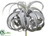 Silk Plants Direct Tillandsia Pick - Green Gray - Pack of 4