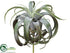 Silk Plants Direct Tillandsia Pick - Green Burgundy - Pack of 4