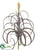 Tillandsia Pick - Green Burgundy - Pack of 4