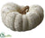 Pumpkin - Beige Antique - Pack of 1