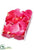 Rose Petal - Beauty - Pack of 12