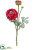 Silk Plants Direct Ranuculus Spray - Beauty - Pack of 12