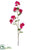 Silk Plants Direct Bougainvillea Spray Spray - Beauty - Pack of 12