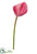 Anthurium Spray Spray - Beauty - Pack of 12