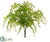 Soft Curly Fern Bush - Green Light - Pack of 24