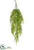 Silk Plants Direct Curly Fern Hanging Bush - Green Light - Pack of 12