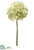 Hydrangea Spray - Green Light - Pack of 12