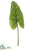 Calla Lily Leaf Spray - Green Light - Pack of 12