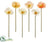 Poppy Spray - Assorted - Pack of 12