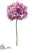 Hydrangea Spray - Orchid Two Tone - Pack of 12