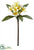 Plumeria Spray - Yellow Two Tone - Pack of 12