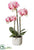 Silk Plants Direct Phalaenopsis Orchid Plant - Pink Two Tone - Pack of 4