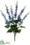 Delphinium Bush - Blue Two Tone - Pack of 12