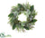 Pumpkin, Eucalyptus Wreath - Green Two Tone - Pack of 2