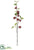 Apple Spray - Burgundy - Pack of 24