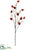 Rosehip Spray - Burgundy - Pack of 12