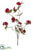 Wild Daisy Spray - Burgundy - Pack of 12