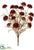 Onion Ball Bush - Burgundy - Pack of 6