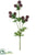 Globe Thistle Spray - Burgundy - Pack of 12