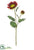 Sunflower Spray - Burgundy - Pack of 12