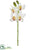 Silk Plants Direct Cymbidium Orchid Spray - Cream Burgundy - Pack of 12