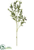 Silk Plants Direct Olive Spray - Green Burgundy - Pack of 12