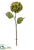 Hydrangea Spray - Green Burgundy - Pack of 6