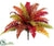 Boston Fern - Rust Burgundy - Pack of 6