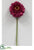 Zinnia Stem - Fuchsia - Pack of 12