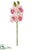 Silk Plants Direct Cymbidium Orchid Spray - Pink Fuchsia - Pack of 12