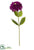 Zinnia Spray - Purple - Pack of 12