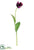 Tulip Spray - Purple - Pack of 12