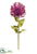 Protea Spray - Purple - Pack of 12