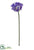 Agapanthus Spray - Purple - Pack of 6