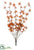 Mini Dogwood Bush - Rust - Pack of 12