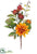 Dahlia, Chinese Lantern Pick - Yellow Rust - Pack of 12