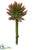 Mini Agave Pick - Green Rust - Pack of 24