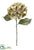 Hydrangea Spray - Green Avocado - Pack of 12