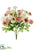 Ranunculus Bush - Pink Ivory - Pack of 12