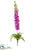 Foxglove Spray - Lavender - Pack of 4