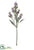 Lavender Spray - Lavender - Pack of 12