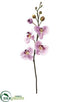 Silk Plants Direct Phalaenopsis Orchid Stem - Lavender - Pack of 12