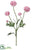 Ranunculus Spray - Lavender - Pack of 6