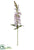 Foxglove Spray - Lavender - Pack of 12