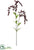 Berry Spray - Burgundy Whitewashed - Pack of 12